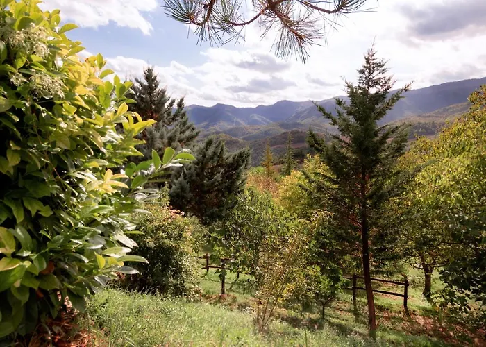 Ca' Lilli * Cantiano